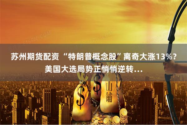 苏州期货配资 “特朗普概念股”离奇大涨13%？美国大选局势正悄悄逆转…
