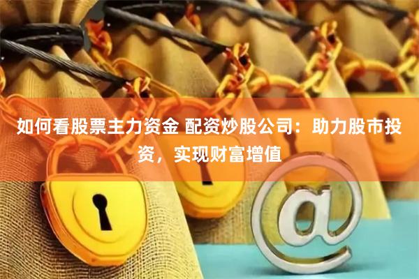 如何看股票主力资金 配资炒股公司：助力股市投资，实现财富增值