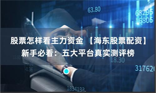 股票怎样看主力资金 【海东股票配资】新手必看:五大平台真实测评榜