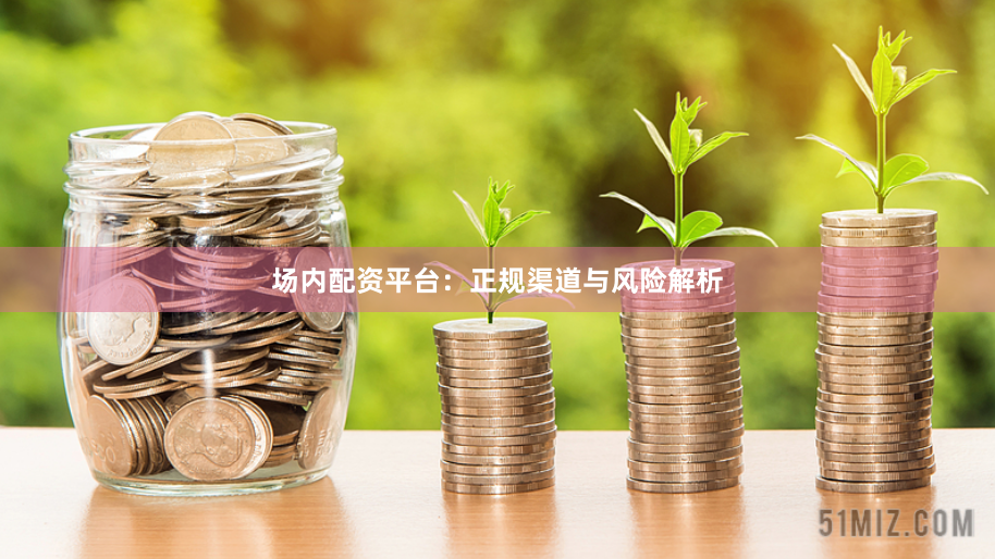 场内配资平台：正规渠道与风险解析